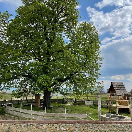 Kastely Grof Zichy Haniska