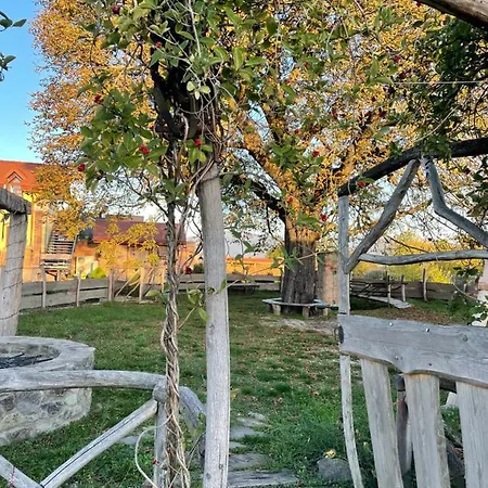 Kastely Grof Zichy 3*