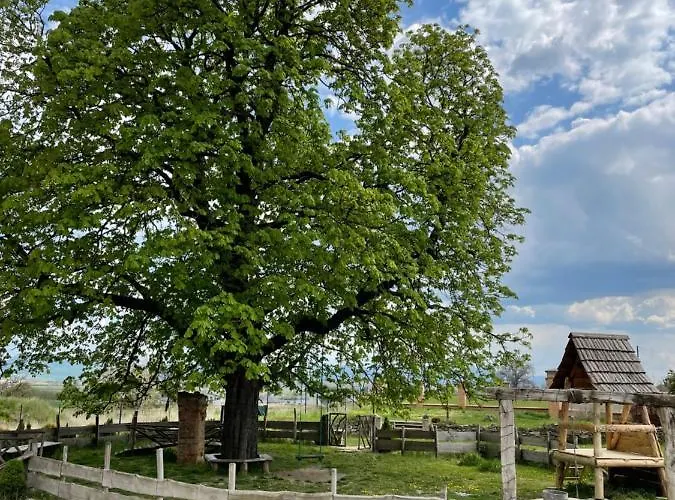 Kastely Grof Zichy Haniska